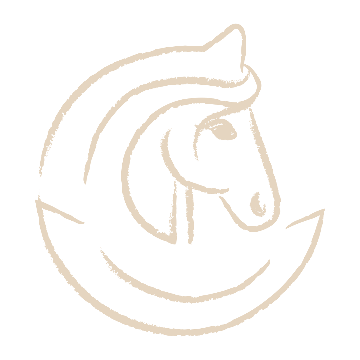 Une Leçon d'Ancrage